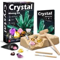 Jouet Cadeau de minéraux pour Garçons et Filles Kit de Creuser pour Enfants Kit Kit d'excavation en Cristal Scientifique de géologie