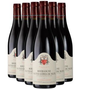 VIN ROUGE Bourgogne Hautes Côtes de Nuits Rouge 2021 - Lot d