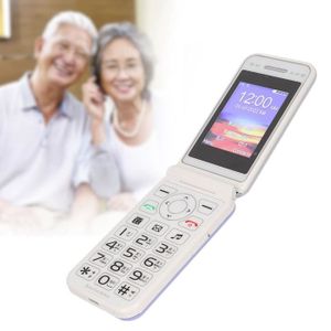 Téléphone portable QID-2G Téléphone à écran 2 N509 2G Téléphone à cla