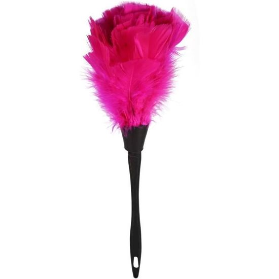 Plumeau De Dinde à La Mode Avec Poignée Plastique Noir - Outil De Nettoyage 35 Cm