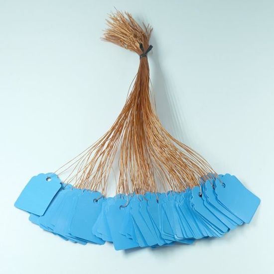 Lot De 00 étiquettes De Plantes Réutilisables En Plastique[394