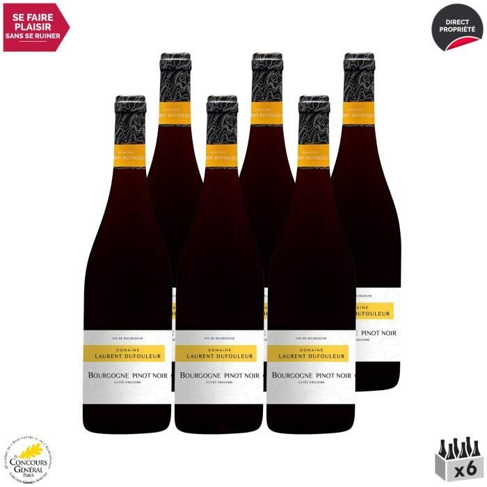 Bourgogne Pinot Noir Cuvée Grégoire Rouge 2019 - Lot de 6x75cl - Domaine Laurent Dufouleur - Vin AOC Rouge de Bourgogne