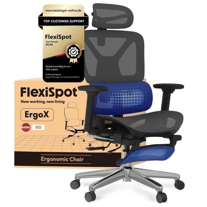 FlexiSpot Chaise de bureau Ergonomique avec Repose-pieds Appui-tête 3D Accoudoirs 3D et Support Lombaire 5D en Maille Gris