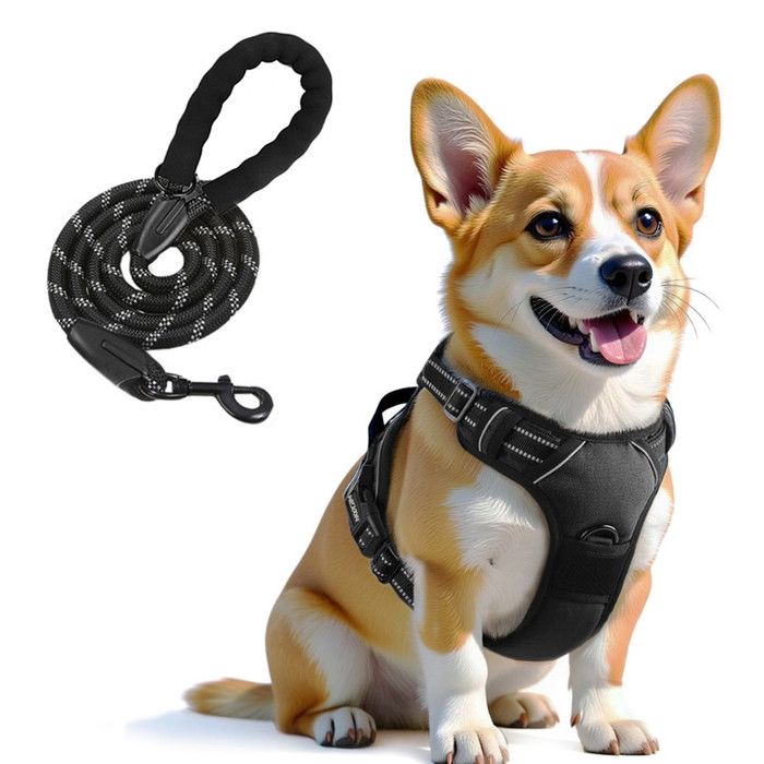 Comparer les prix de MUGIM Harnais pour Chien avec Laisse M - Solide Respirant Réglable Réfléchissant Noir