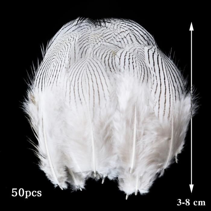 gros lot 100 plumes longue blanche 10 a 15 cm