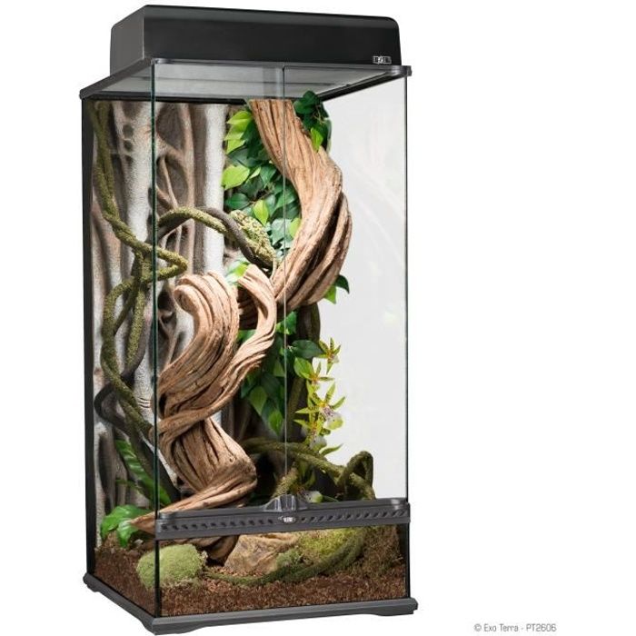 herhaling rechter Afwijken EXO TERRA Terrarium S X-Tall - 45x45x90 cm - Cdiscount Animalerie