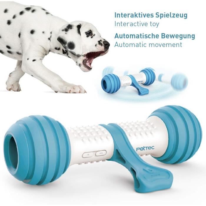 Jouets interactifs chien clearance