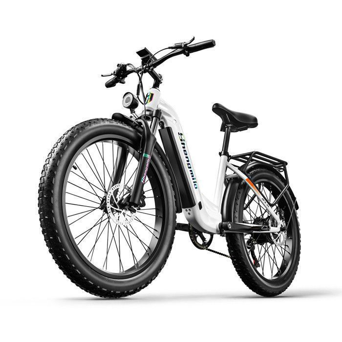 Fat bike électrique 2020 best sale