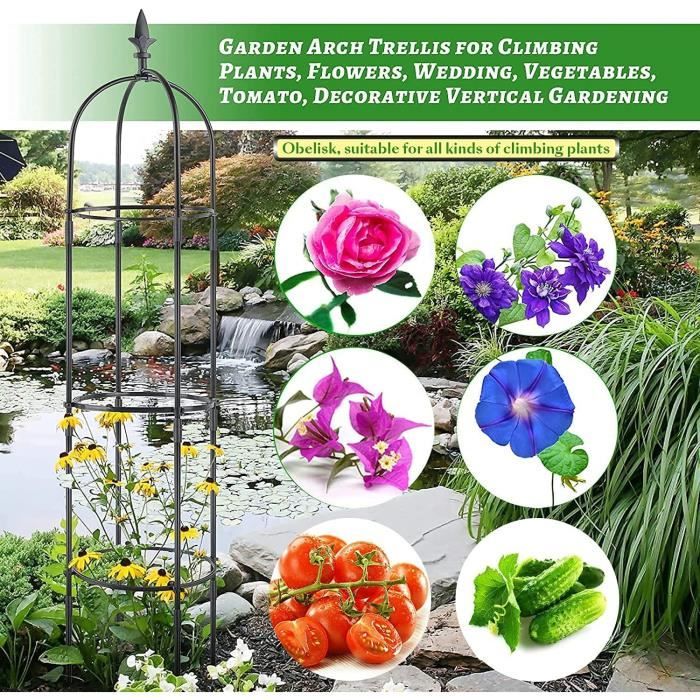 6x obélisques de jardin pour roses, sur pied, tuteur plantes grimpantes,  colonne, métal, HLP 192 x 35 x 35 cm, vert