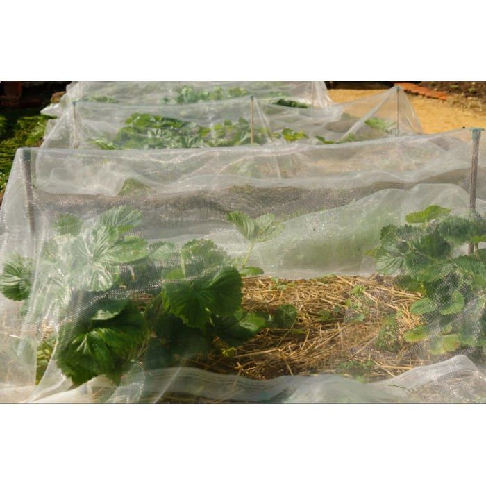 Filet Linsocle Filet Anti-Oiseaux LINSOCLE 4x10m - Protection Jardin Arbres Fruitiers Et Légumes - Maille 1.5cm Fire Stick Filet Linsocle Filet Anti-Oiseaux LINSOCLE 4x10m - Protection Jardin Arbres Fruitiers Et Légumes - Maille 1.5cm Fire Stick