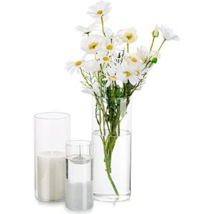 VASE - SOLIFLORE Vase À Fleurs En Verre Cylindrique Transparent, 3 