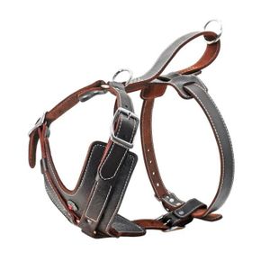 Chiots Noir Disponible en diff/érentes Tailles MICHUR Cucciolo Noir Harnais pour Chien Cuir Cuir Harnais pour Chien pour Petits Chiens