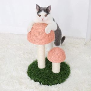 Arbre A Chat Pour Chaton Cdiscount