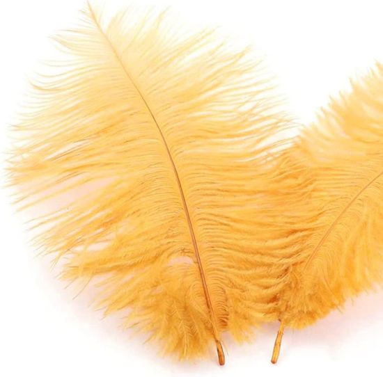10x Grandes Plumes De Décoration / Plumes D'autruche Blanc 50 Materiel De Loisirs Artisanat Plumes Decoratives Plumes De Decoration
