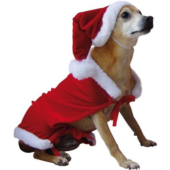 DEGUISEMENT CHIEN PÈRE NOËL VELOURS TAILLE UNIQUE - Cdiscount Jeux - Jouets