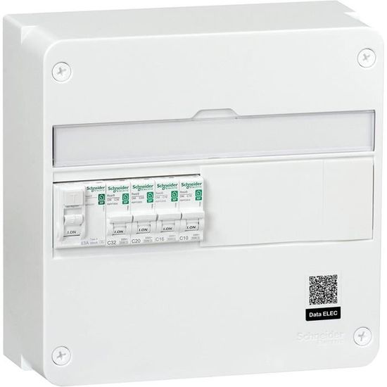 Disjoncteur Schneider Electric R9EXV - 63A, 2 Pôles, Blanc, Pour Tableau électrique