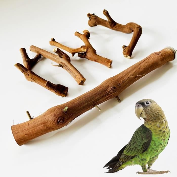 Perchoir Balançoire En Bois Pour Oiseaux Avec Miroir - Jouet Pour Perroquets, Perruches, Inséparables - Pour Cage - 7