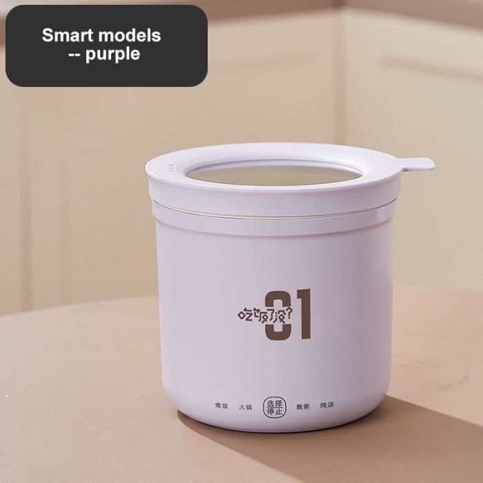 Cuiseur Électrique Ramen Antiadhésif, Appareils De Cuisine En Acier Inoxydable, Poêle Électrique