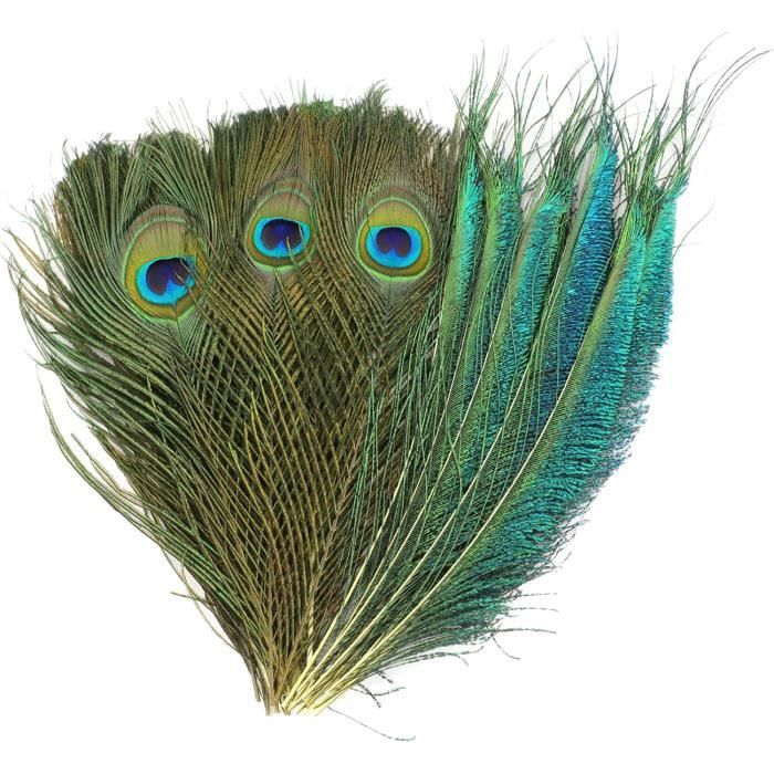 Lot De 48 Plumes Naturelles Multicolores - Pour Déco DIY, Costumes, Chapeaux, Mariage, Carnaval, Attrape-rêves - 3