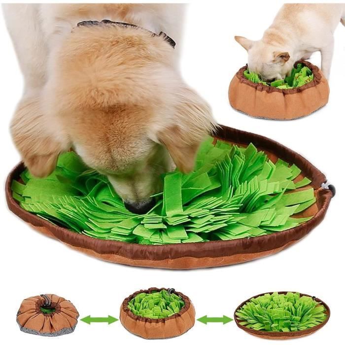Meilleurs prix pour Edipets, Tapis de Fouille Chien, Jouet Chien Chat, Snuffle Matt, Jouet éducateur pour Chiot, Jeux avec Croquettes277