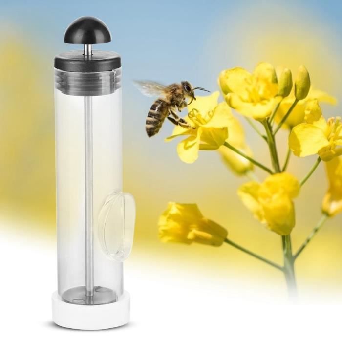 Cage à Reine Transparente Pour Abeilles - Marqueur Reine Apiculture - 4x8 Cm (1,57x3,15 Pouces) - Plastique Durable