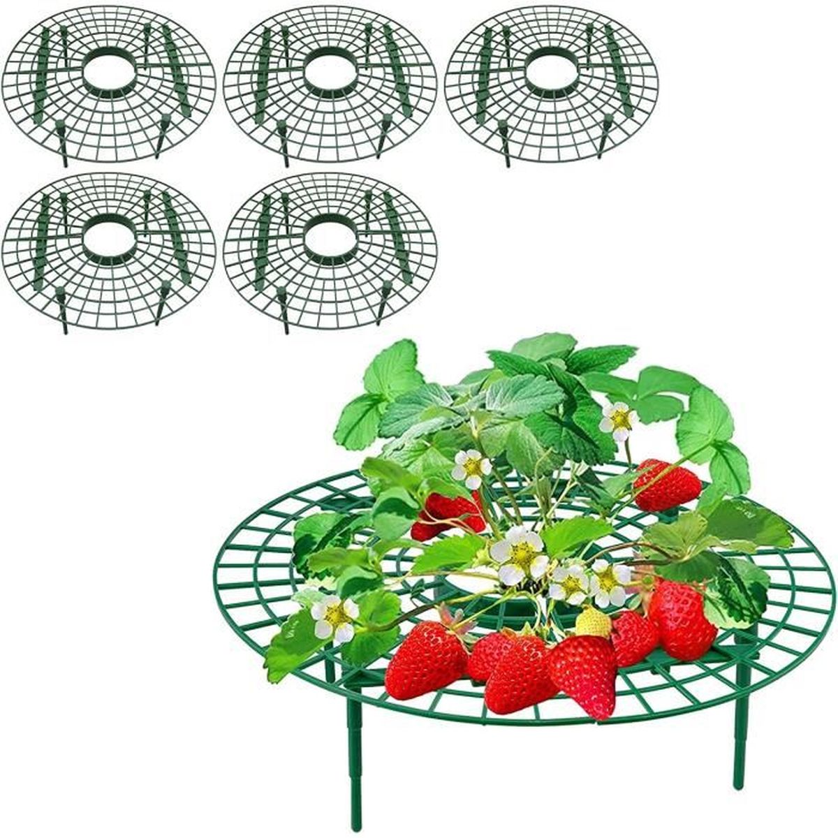 Supports Pour Fraisiers – Lot De 10, En PP – Petites Et Grandes Tailles, Pour Garder Les Fruits Au Sec