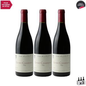 VIN ROUGE Gevrey-Chambertin Village Rouge 2014 - Lot de 3x75cl - Domaine Roblet-Monnot - Vin AOC Rouge de Bourgogne - Cépage Pinot Noir