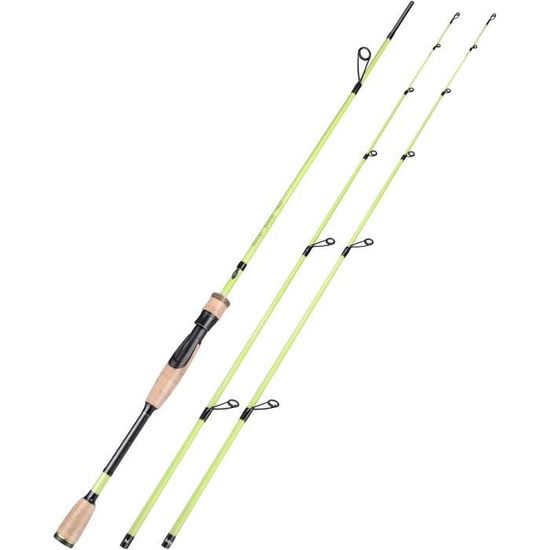 Moulinet Baitcasting Diwa Fibre Carbone 12+1 Roulements - Pêche Eau Douce Et Salée