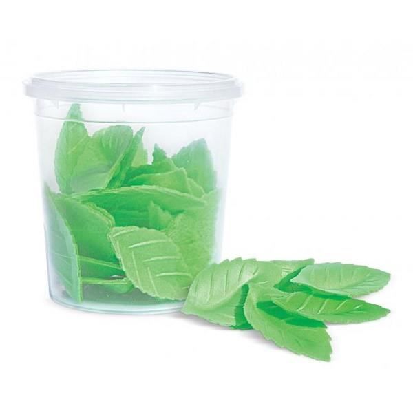 Décors azymes - 24 feuilles vertes