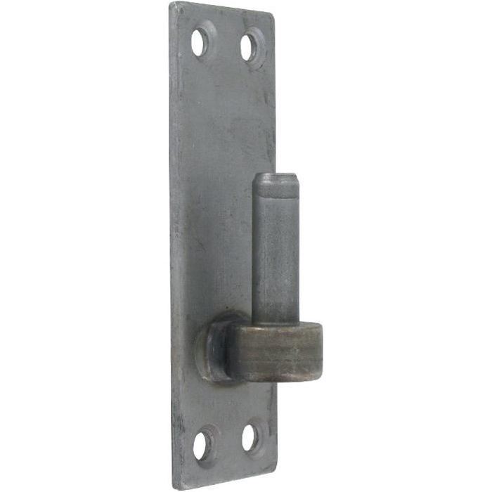 Gond sur platine rectangulaire Torbel L130mm Acier brut Ø12mm
