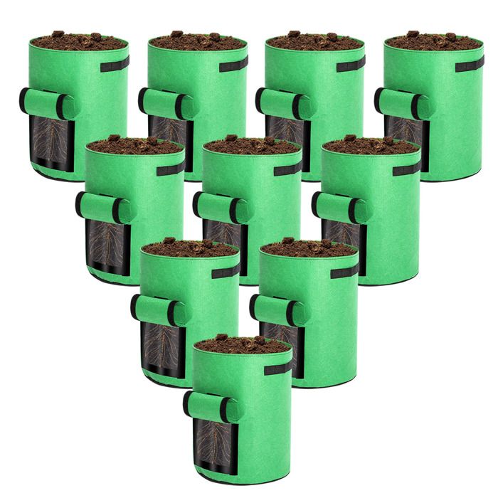 Hiver, Plantes En Pot, Avec Fermeture éclair Et Cordon De