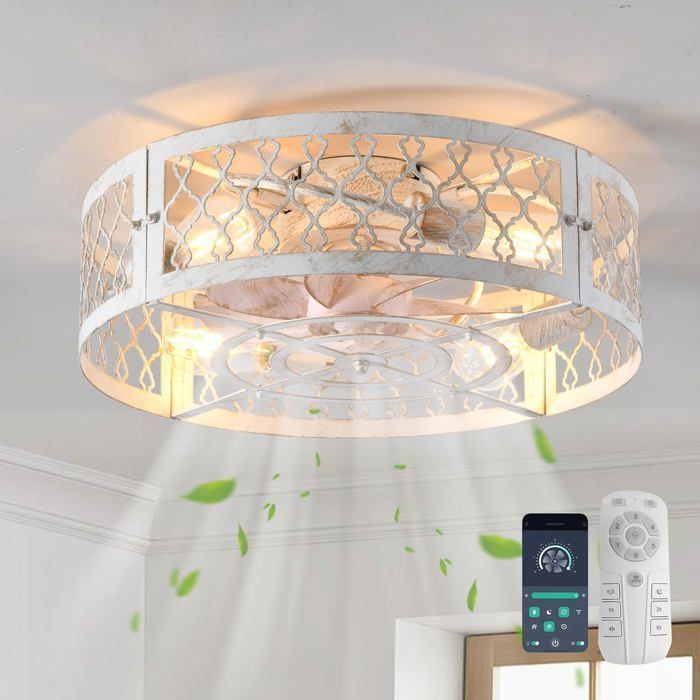 Ganeed Ventilateurs de plafond avec lumières Ventilateur de plafond de ferme de style industriel 50cm Éclairage en cage en métal E27