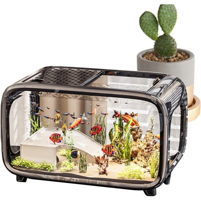 Aquarium de Bureau - Bocal Paysager pour Poissons -