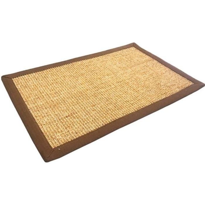 Tapis De Chat En Sisal Naturel Tapis De Griffoir De Jeu De Protection S Cdiscount Animalerie