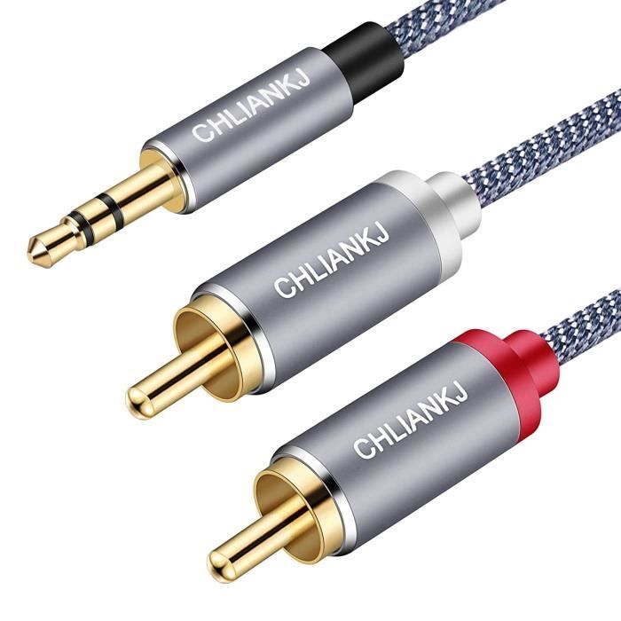 https://www.cdiscount.com/pdt2/6/0/8/1/700x700/auc1685413046608/rw/cable-rca-jack-audio-3-5mm-male-vers-2-rca-male-y.jpg