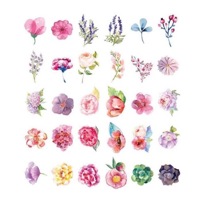 Fleurs Colorees En Forme De Cartes Postales Fleur Theme Carte Postale 30pcs Achat Vente Carte Postale Fleurs Colorees En Forme De Cdiscount Fleurs Colorees En Forme De Cartes Postales Fleur Theme Carte Postale 30pcs Achat Vente Carte Postale Fleurs Colorees En Forme De Cdiscount