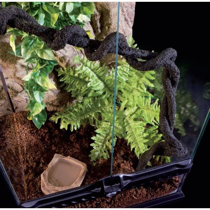 Meilleurs prix pour exo terra terrarium foret pluviale équipé m - pour reptile ou amphibien