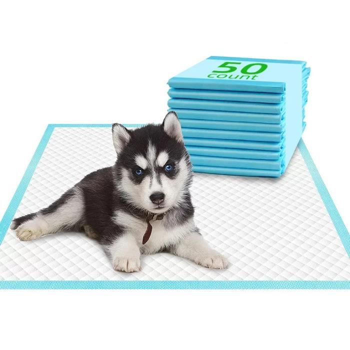 Comparer les prix de Meidong Alaise pour Chien 60 x 40 cm, 50 Pièces - Tapis Educateur Chiot, Chiens et Chats, Tapis Propreté Ultra Absorbant Jetable
