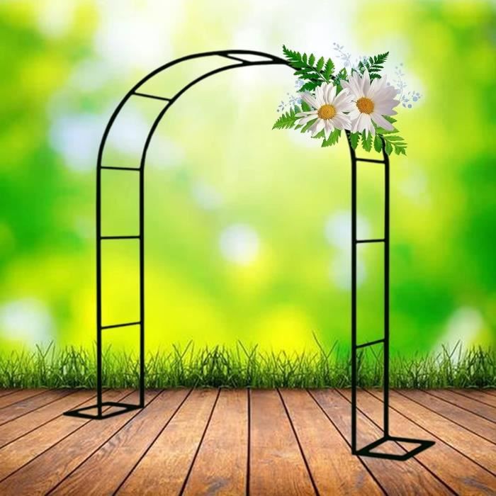 Arceau À Rosiers Fixé Au Mur Pour Les Plantes Grimpantes