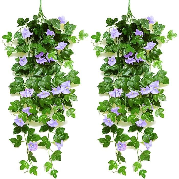 Fausse Plante Grimpante