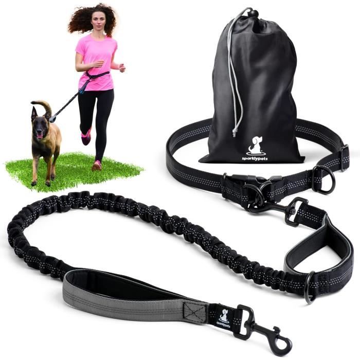 Laisse Pour Chien Main Libre