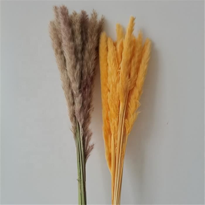 Lot de 10 plantes artificielles de la pampa séchées - Bouquet de roseaux moelleux - Arrangements de fleurs séchées pour mariage, vacances, fête - Décoration d'intérieur - Noir