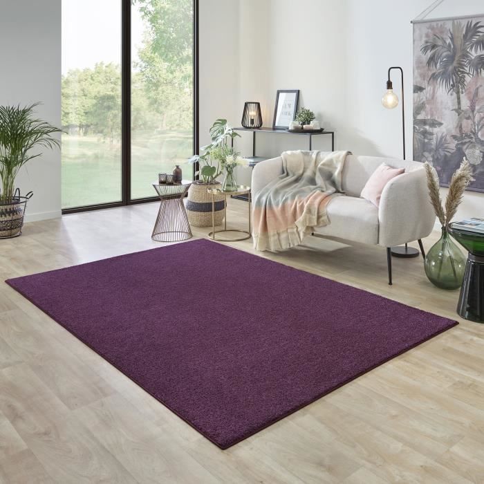 Carpet Studio Utah Tapis de Salon, Ultra Doux, 190x190cm, Crème, Tapis  Chambre à Poils Longs