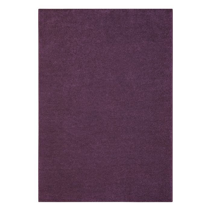 Tapis De Salle De Bain Antidérapant – Motif Aubergine Violet, 101,6 X 152,4 Cm | Absorbant, Doux, Facile à Nettoyer | Pour Sol Cuisine, Douche