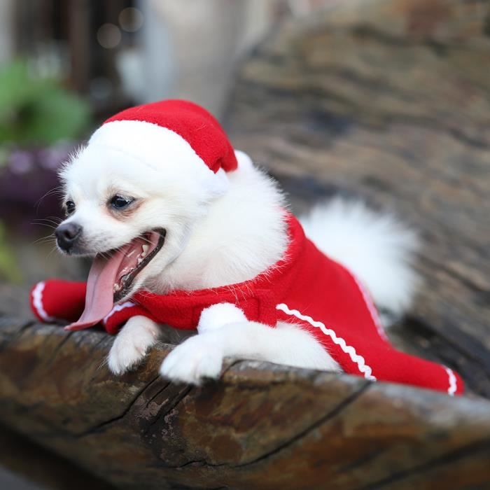 Vêtement De Noël Pour Chien Taille Moyenne - Pull Et écharpe Rouges Pour Petit Animal De Compagnie (XXL)