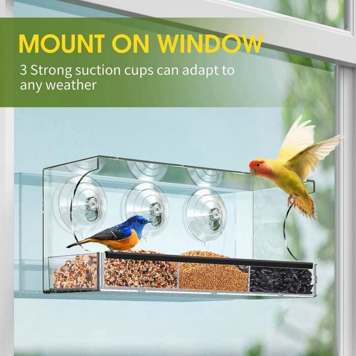 Mangeoire à oiseaux en métal pour l'extérieur, fenêtre