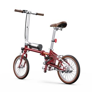 Vélo Pliant 14 Pouces ZDXC – 5 Vitesses, Cadre Acier Et Freins à Disque, Léger Et Compact, Idéal Urbain Pour Ados Et Adultes