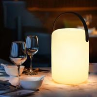 Lampe de Table LED Veilleuse Portable Nomade Lampe de Chevet 16 Couleurs LED Rechargeable sans Fil Multicolore Pour Jardin Extérieur