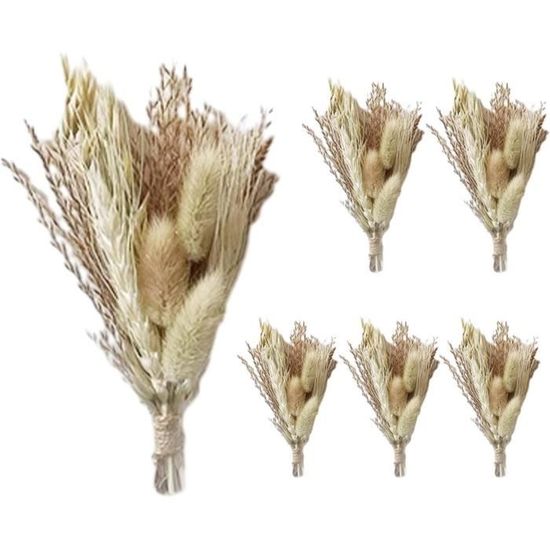 Mini Fleurs Séchées - Décoration Fleurs Séchées | Décor Table Pièce Maîtresse D'Arrangement