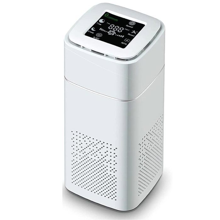 Purificateur DAir pour Grande Pièce Idéal pour les Animaux Domestiques et les Allergies Filtre PM2.5 Élimine 9997 % des Poils